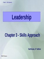 Lecture Leadership - Theory and practice: Chapter 3 - Skills approach