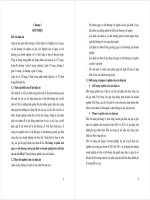 Tóm tắt Luận án tiến sĩ Kinh tế: Đo lường và phân tích nguy cơ tổn thương của hộ gia đình và doanh nghiệp khi xuất hiện các cú sốc bất lợi