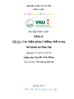 Đề bài: Các biện pháp cưỡng chế trong thi hành án Dân Sự