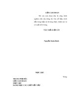 Luận án Tiến sĩ: Bộ đội Biên phòng tham gia xây dựng cơ sở chính trị - xã hội khu vực biên giới Tây Bắc Việt Nam hiện nay