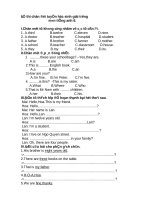 Đề thi chọn đội tuyển học sinh giỏi trường có đáp án môn: Tiếng Anh 6