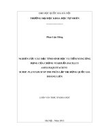 Luận văn Thạc sĩ Khoa học: Nghiên cứu các đặc tính sinh học và tiềm năng ứng dụng của chủng vi khuẩn Bacillus amyloliquefaciens subsp. plantarum SP 1901 phân lập tại rừng Quốc gia Hoàng