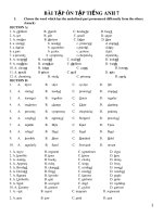 Bài tập ôn tiếng Anh 7