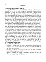 Tóm tắt Luận án Tiến sĩ: Nghiên cứu huyết khối tĩnh mạch sâu chi dưới và các yếu tố nguy cơ trên sản phụ mổ lấy thai