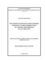 Dissertation summary: Solutions to improve economic efficiency in the production of rice of farmers in Can Tho City