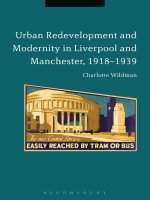 Urban redevelopment and modernity in liverpool and manchester, 1918 1939 