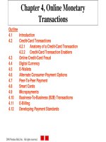 Lecture E-commerce and e-business for managers - Chapter 4: Online monetary transactions