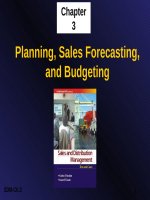 Lecture Sales and distribution management: Chapter 3 - Krishna K Havaldar, Vasant M Cavale