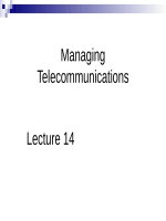 Lecture Business management information system - Lecture 14: Managing telecommunications