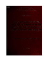 Luận án phó Tiến sĩ Khoa học Sư phạm - Tâm lý: Những biện pháp tích cực hóa hoạt động tiếp nhận của học sinh trong giờ học tác phẩm văn chương ở nhà trường phổ thông trung học
