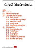 Lecture E-commerce and e-business for managers - Chapter 20: Online career services