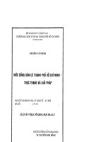 Luận án Thạc sĩ Khoa học Địa lý: Mức sống dân cư thành phố Hồ Chí Minh - thực trạng và giải pháp