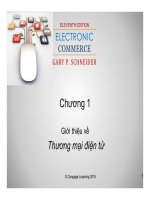 Bài giảng Thương mại điện tử: Chương 1 - Lê Hữu Hùng