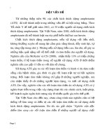 Tóm tắt Luận án Tiến sĩ: Nghiên cứu đặc điểm lâm sàng các rối loạn tâm thần ở những người sử dụng chất dạng amphetamine tại Viện Sức khỏe Tâm thần