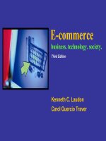 Lecture E-commerce: Business, technology, society (3/e): Chapter 11 - Kenneth C. Laudon, Carol Guercio Traver