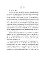 Luận án Tiến sĩ: Nghiên cứu nhu cầu về chuyên môn của thực tiễn giáo dục đối với giáo viên Thể dục thể thao cấp Trung học cơ sở các tỉnh phía Bắc