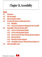 Lecture E-commerce and e-business for managers - Chapter 14: Accessibility