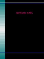 Lecture Management information systems: Solving business problems with information technology – Chapter 5