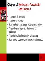 Lecture Consumer behaviour: Chapter 10 - Cathy Neal, Pascale Quester, Del Hawkins