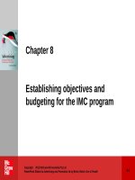 Lecture Advertising and promotion (2/e) – Chapter 8: Establishing objectives and budgeting for the IMC program