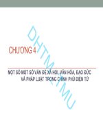 Bài giảng Chính phủ điện tử: Chương 4 - PGS. TS. Nguyễn Văn Minh