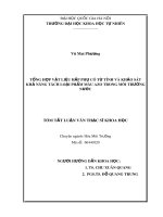 Tóm tắt Luận văn Thạc sĩ Khoa học: Tổng hợp vật liệu hấp phụ có từ tính và khảo sát khả năng tách loại phẩm màu azo trong môi trường nước