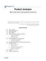 Ebook International marketing - Analysis and strategy (4/E): Part 2