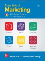 Ebook Essentials of marketing (15th edition): Part 1
