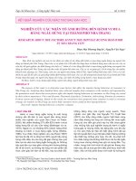 Nghiên cứu các nhân tố ảnh hưởng đến hành vi mua hàng ngẫu hứng tại thành phố Nha Trang