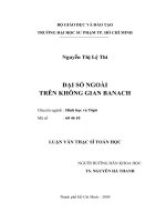 Luận văn Thạc sĩ Toán học: Đại số ngoài trên không gian Banach