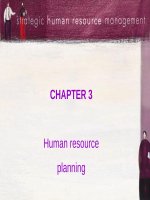 Lesson about Strategic Human Resourse Management - Chap 03