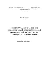 Luận án Tiến sĩ Y học: Nghiên cứu lâm sàng và hình ảnh siêu âm Doppler động mạch cảnh ngoài sọ ở bệnh nhân nhồi máu não trên lều giai đoạn cấp có đái tháo đường