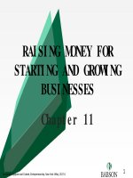 Lecture Entrepreneurship: Chapter 11 - Zacharakis, Bygrave, Corbett