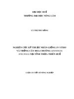 Luận án Tiến sĩ Nông nghiệp: Nghiên cứu kỹ thuật nhân giống in vitro và trồng cây hoa chuông (Sinningia speciosa) tại tỉnh Thừa Thiên Huế