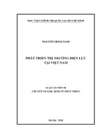 Luận án tiến sĩ Kinh tế: Phát triển thị trường điện lực Việt Nam
