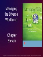 Lecture Management: Leading and collaborating in a competitive world - Chapter 11: Managing the diverse workforce