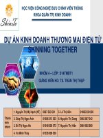 Dự án kinh doanh thương mại điện tử Shinning Together