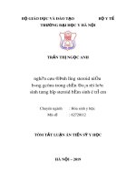 Tóm tắt Luận án tiến sĩ Y học: Nghiên cứu định lượng steroid niệu  bằng GC/MS trong chẩn đoán rối loạn  sinh tổng hợp steroid bẩm sinh ở trẻ em