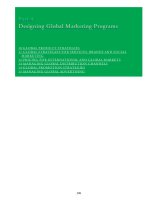 Ebook Global marketing (4/E): Part 2 - Kate Gillespie