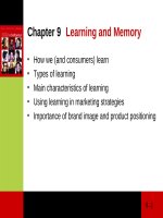 Lecture Consumer behaviour: Chapter 9 - Cathy Neal, Pascale Quester, Del Hawkins