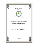 Luận án Tiến sĩ Kinh tế: Giải pháp quản trị rủi ro tín dụng tại Ngân hàng thương mại cổ phần Công thương Việt nam