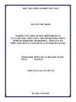Tóm tắt Luận án tiến sĩ: Nghiên cứu một số đặc điểm bệnh lý lợn mắc tiêu chảy thành dịch do virus (Porcine epidemic diarrhea - PED) gây ra trên đàn lợn Mán và lợn Rừng tại tỉnh Hà Giang