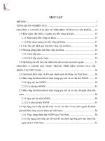 Luận văn: Đánh giá mức độ bền vững của tài khóa tại Việt Nam