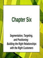 Lecture Principles of Marketing - Chapter 6: Segmentation, targeting, and positioning