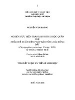 Tóm tắt Luận án tiến sĩ Sinh học: Nghiên cứu hiện trạng sinh thái học quần thể  nhằm đề xuất biện pháp bảo tồn loài rồng đất  (Physignathus cocincinus  Cuvier, 1829)  ở Thừa Thiên Huế
