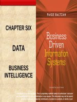 Lecture Business driven information systems (4/e): Chapter 6 - Paige Baltzan