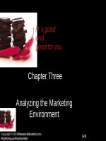 Lecture Principles of Marketing - Chapter 3: Analyzing the Marketing environment