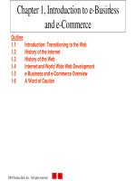 Lecture E-commerce and e-business for managers - Chapter 1: Introduction to e-business and e-commerce