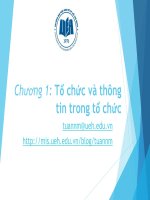 Bài giảng Hệ thống thông tin quản lý: Chương 1 - GV. Nguyễn Mạnh Tuấn