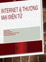 Bài giảng Internet và Thương mại điện tử: Chương 2 - Nguyễn Sĩ Thiệu